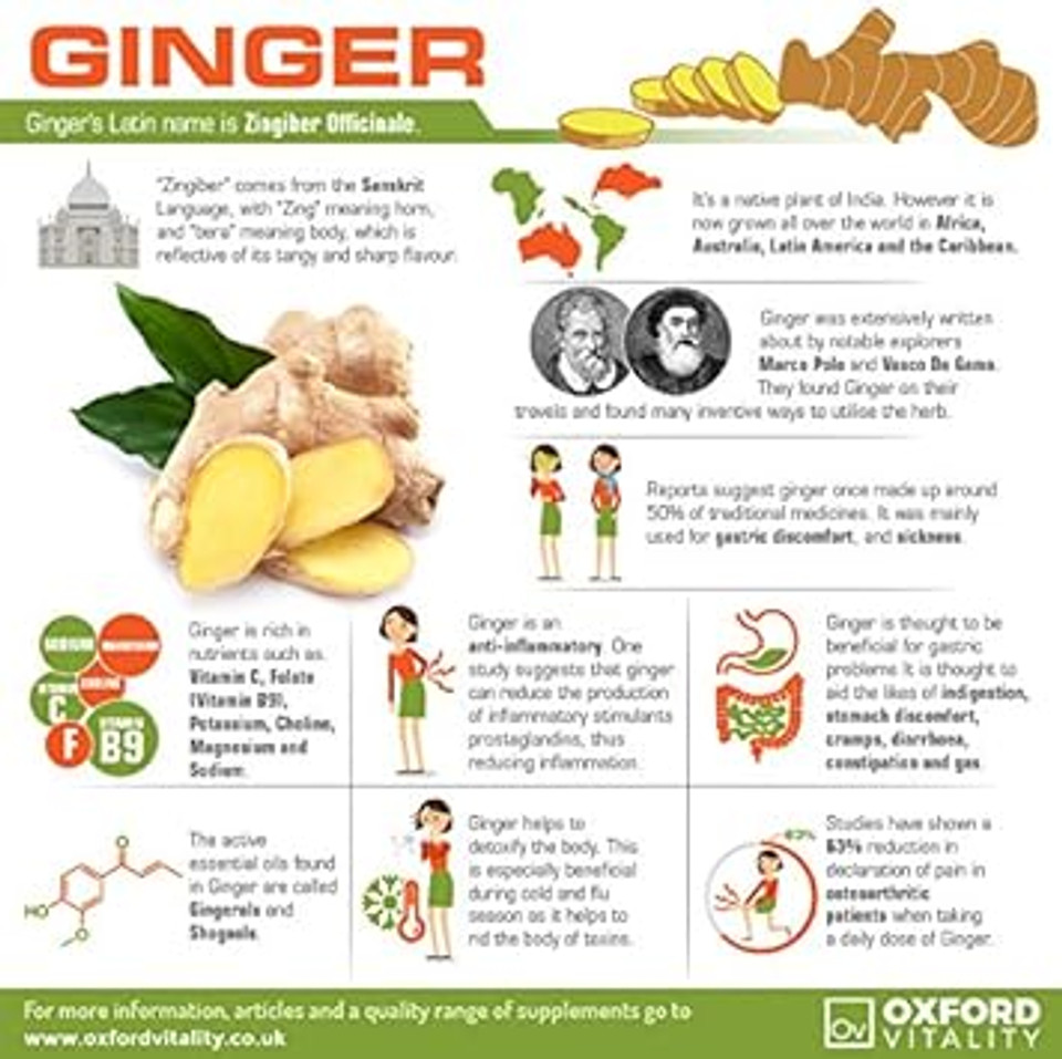 Ginger Root, Turmeric, Papain & Bromelain Tablets For General Digestive & Gut Health | By Oxford Vitality

Size: 120 Count (Pack Of 1)
