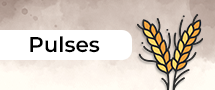 pulses