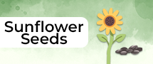 sunflower-seeds