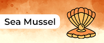 Sea-mussel