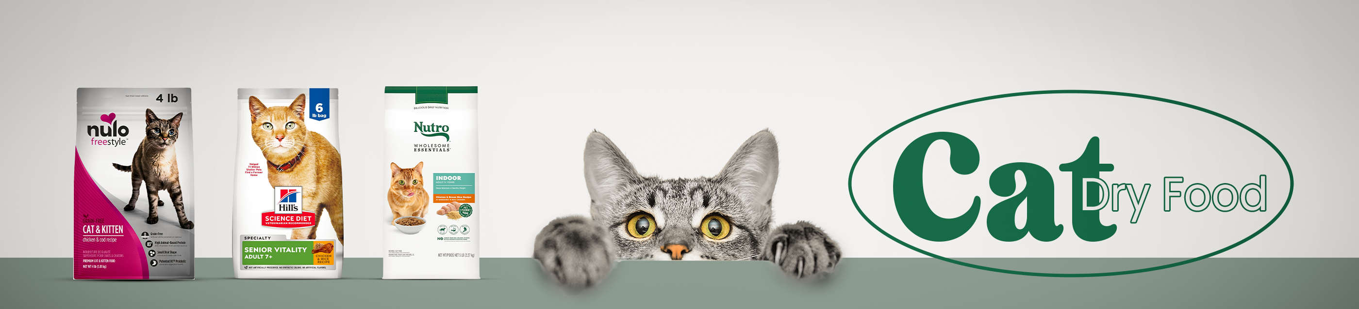 Cat Dry Food