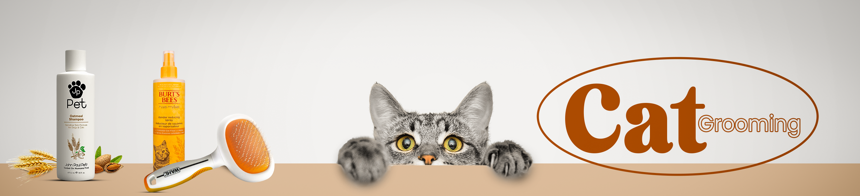 Cat Grooming