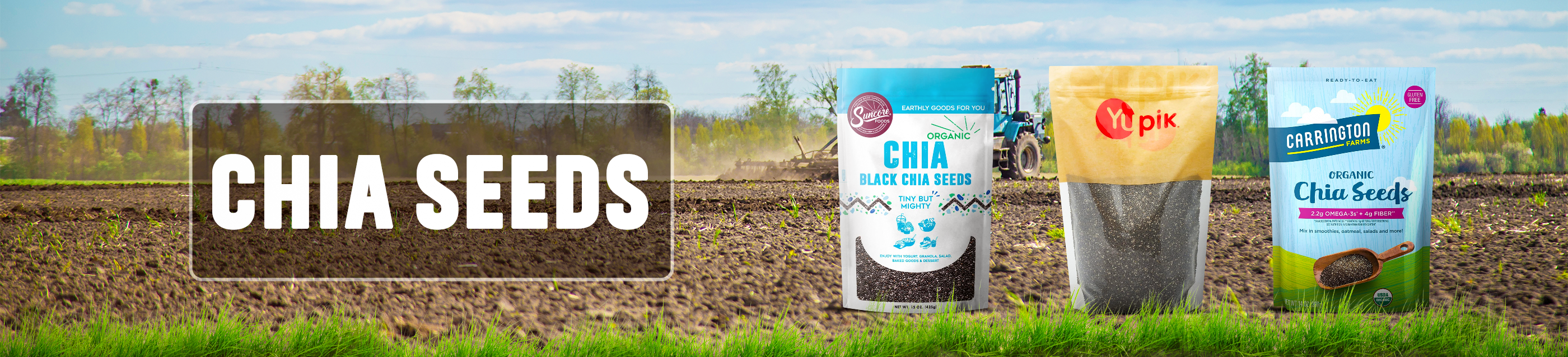 Chia seeds