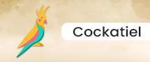 cockatiel-supplies