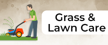 grassandlawncare
