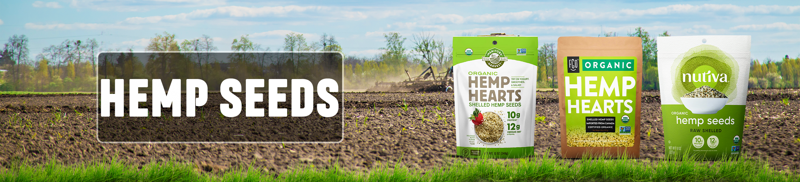 Hemp seeds