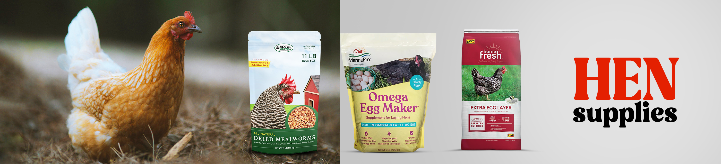 Hen Supplies