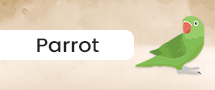 parrot-supplies
