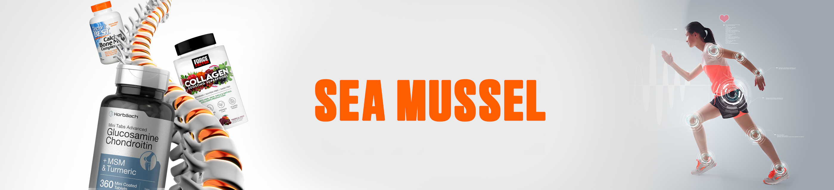 Sea Mussel