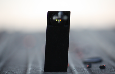 The <span>colors</span> WILL reveal THE LOOK OF GUN
