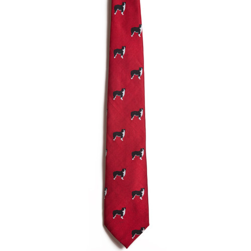 Chipp Border Collie tie