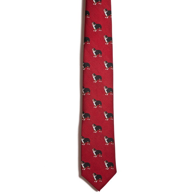 Australian shepherd tie Clearance