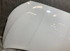 2019-2022 Hyundai Veloster Hood Panel / Chalk White   HV008