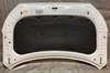 2019-2022 Hyundai Veloster Hood Panel / Lunar White  HV009