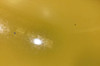 1997-2004 Porsche 986 Boxster / 99-01 996 911 Driver Fender / Speed Yellow  BX063