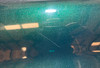 1999-2005 Mazda Miata Rear Bumper Cover  / Emerald Green Mica  NB247