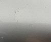 1997-2004 Porsche 986 Boxster / 996 911 OEM Side Mirrors / Pair / 5 Pin / Arctic Silver Metallic  BX071