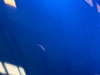 1999-2005 Mazda Miata Passenger Side Fender Panel / Sapphire Blue Mica  NB272