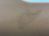 2005-2012 Porsche 987 Cayman / 997 911 Center Console w/ Lid / Sand Beige /   BC037