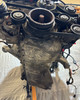 2003-2005 BMW Z4 3.0i M54B30 Engine Long Block /   Z4063