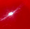 2019-2022 Hyundai Veloster Hood Panel / Racing Red  HV012