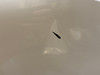 2022-2024 Volkswagen MK8 Golf R Front Bumper Cover w/ Grilles *Cosmetic Damage* /   M8R01