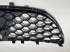 2017-2021 Alfa Romeo Giulia Sport Passenger Front Lower Grille Panel /   AG006