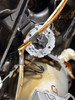 2003-2005 E85 E86 BMW Z4 Passenger Headlight / Bi-Xenon / Clear /   Z4064