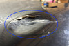 2005-2008 Porsche 997 911 Carrera 4 AWD Rear Bumper Cover *DAMAGE* /    P7009