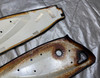 2005-2011 Lotus Elise Exige OEM Black Leather Interior Door Panels / Pair /   LEL03