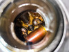 2011-2012 Mini Cooper S N18 1.6l Engine Long Block w/ Turbocharger / 85K R2034