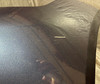 2005-2008 Porsche 987 Boxster S 3.2l Rear Bumper Cover / Atlas Grey Metallic  BC039
