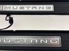 2015-2020 Ford Mustang GT S550 Premium Illuminated Door Sill Trim Panels / Pair /   FM017