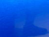 2018-2024 Jeep Wrangler JL Unlimited 4DR / Gladiator JT Passenger Rear Door Assembly / Hydro Blue Pearl  JT005