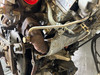 2020-2023 Jeep Wrangler JL / Gladiator JT 3.0l V6 Turbo Diesel Engine Long Block / 74K JT005