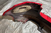 2015-2017 Volkswagen MK7 Golf R Rear Bumper Cover / Tornado Red  M7R12