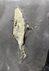 2007-2010 Saturn Sky OEM Hood Panel *DAMAGE* /    PS073
