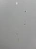 2010-2012 Hyundai Genesis Coupe OEM Hood Panel / Karusell White  HG035