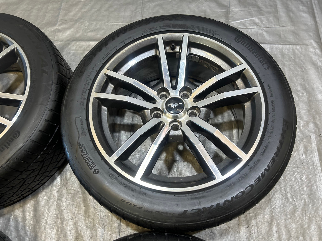 タイヤ・ホイール mustang125 Mustang SVE SP2 Wheel & Nitto Tire Kit-19x10/11-Gloss Graphite | 15-23
