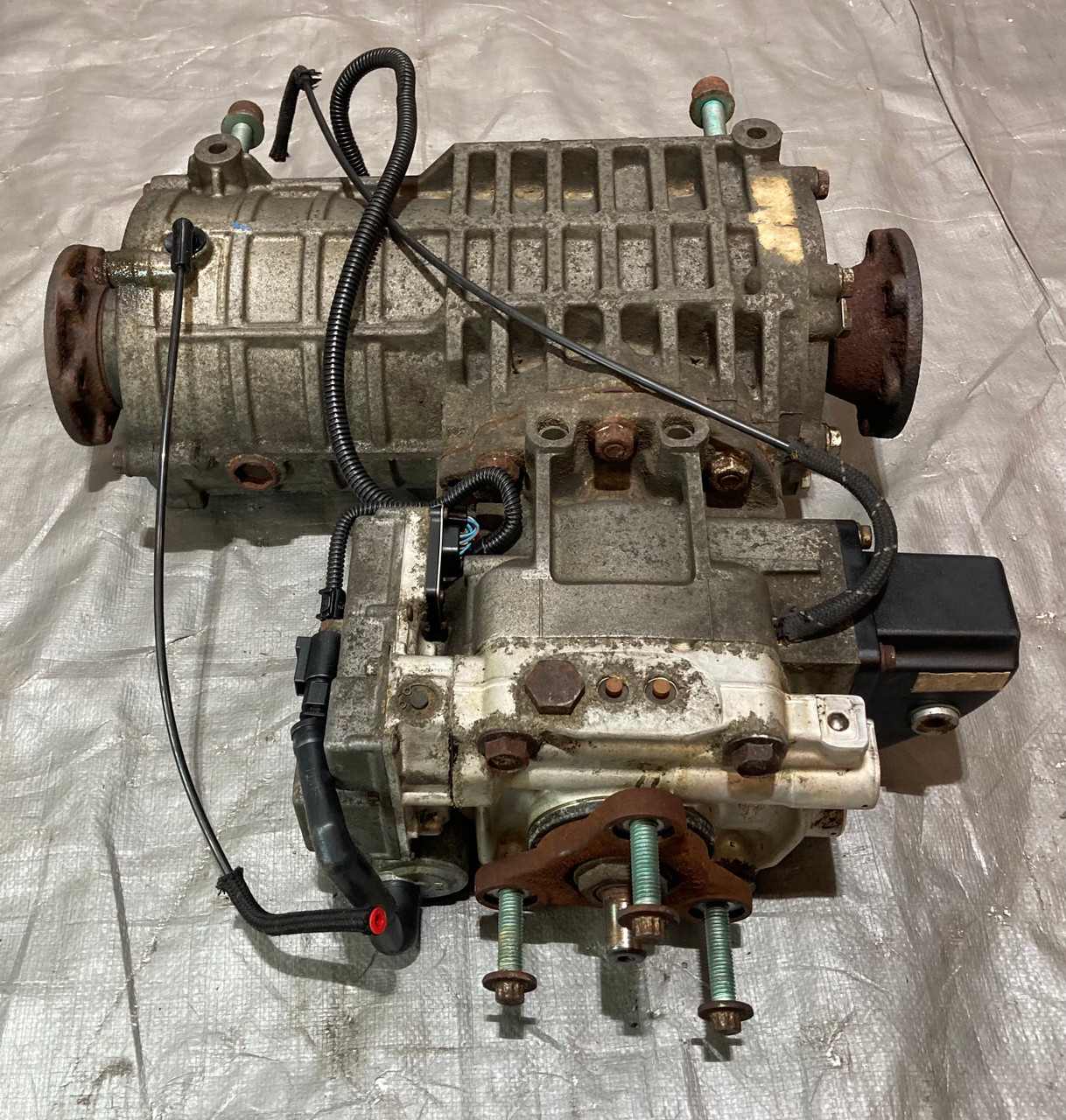 IMG_1491__68762.1750358497.jpg?c=2