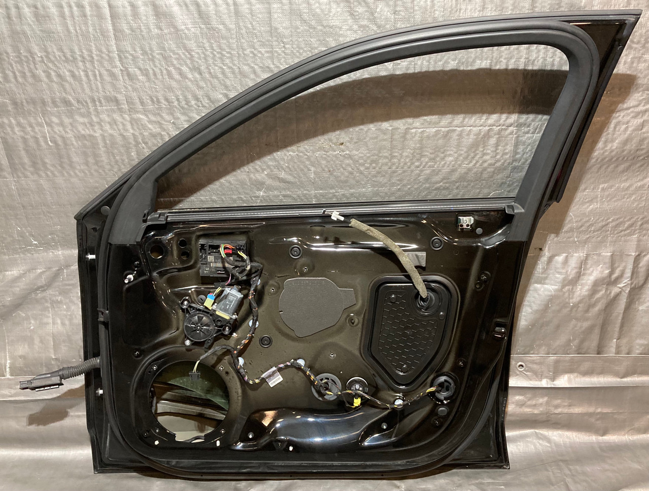 2015-2020 Audi S3 Passenger Side Front Door Assembly / Mythos