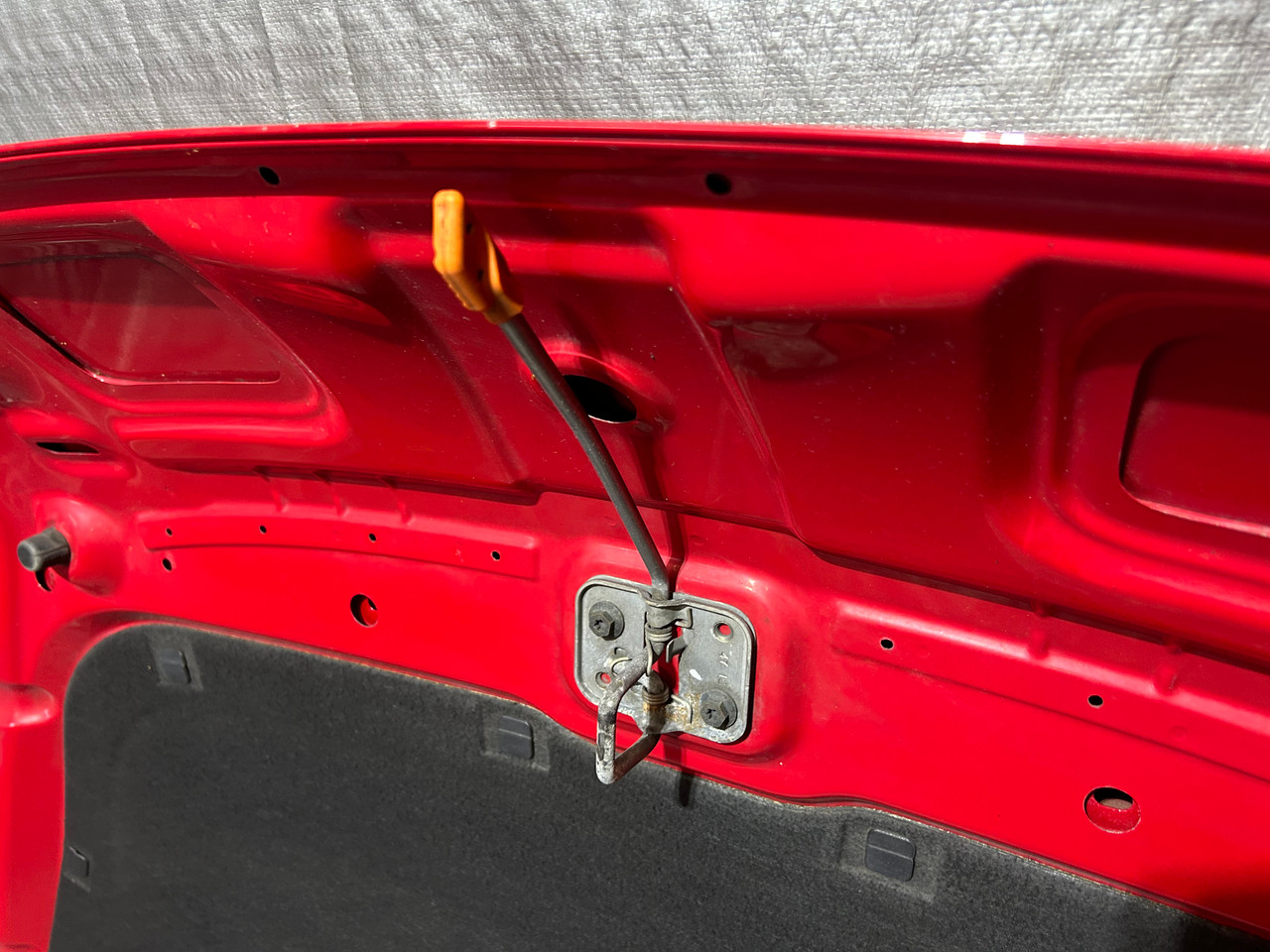 2013-2019 Volkswagen Beetle OEM Hood Panel / Tornado Red VB012