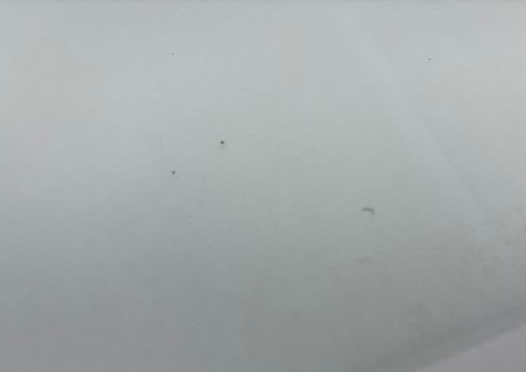 2005-2011 Lotus Elise Exige Driver Side Window Glass / OEM  /   LEL01