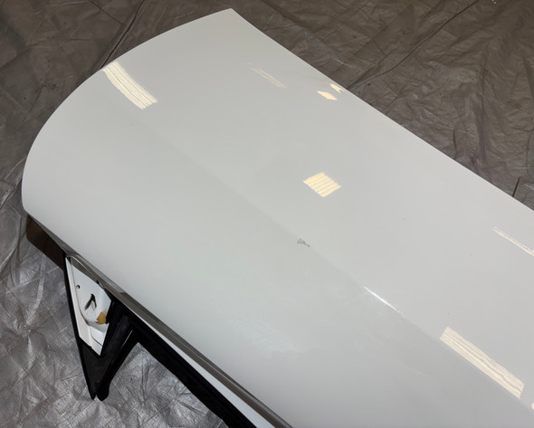 2010-2014 Lotus Evora Passenger Side Door Shell / Aspen White  LEV01