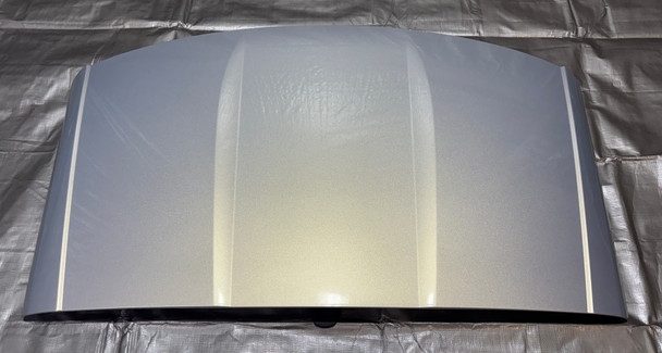 2020-2025 Chevrolet C8 Corvette Coupe Removable Targa Roof Panel / Silver Flare Metallic  C8001