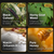 BLACK SNAKE HONEY INGREDIENTS