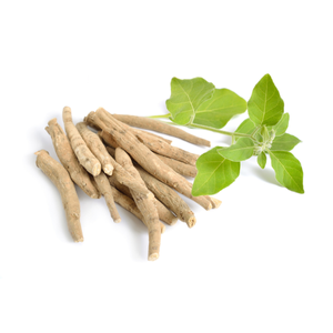 Ashwaganda