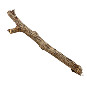 Catuaba Bark