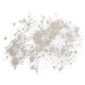 Chondroitin Sulfate