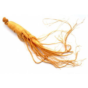 Ginseng